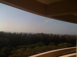 Hawaii Tower (D15), Condominium #120408222
